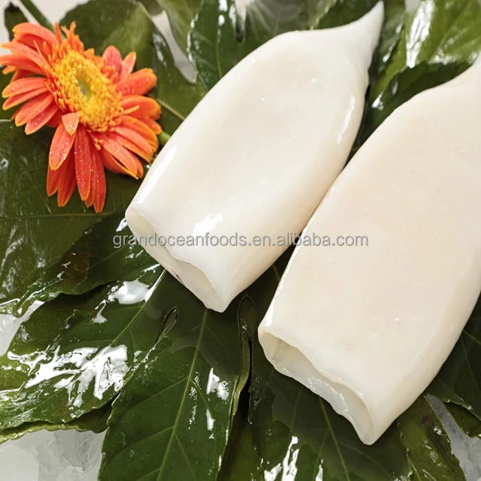 
Кальмаровая трубка 