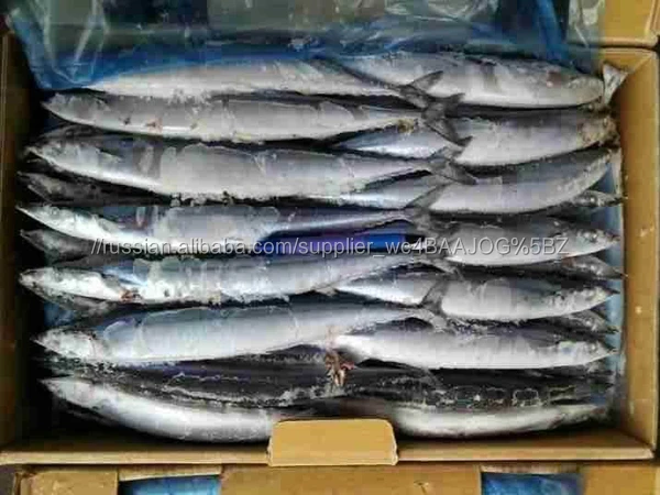 Новый мороженой сайры рыбы #2 #3 #4 для продажи