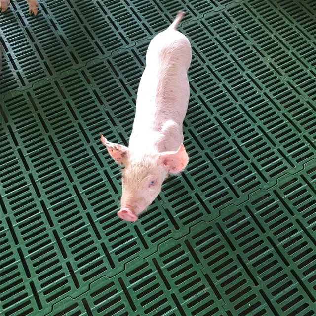 high strength farrowing crate pig flooring plastic slat floor