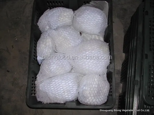 
2019 new crop chinese fresh cauliflower supply all the year round 