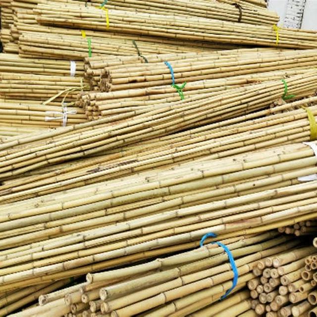 strong garden plant support bamboo pole/sticks/canes.