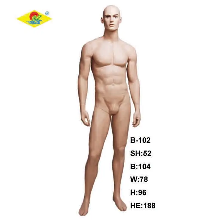 Wholesale display full body young sexy male realistic mannequin