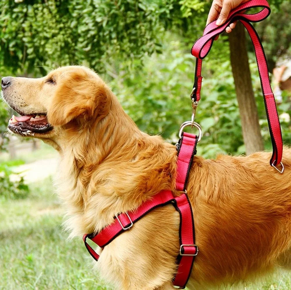 3 PCS Pet Collar Harness & Leashes Nylon Dog Leads Large Dog High Quality Dog Leashes