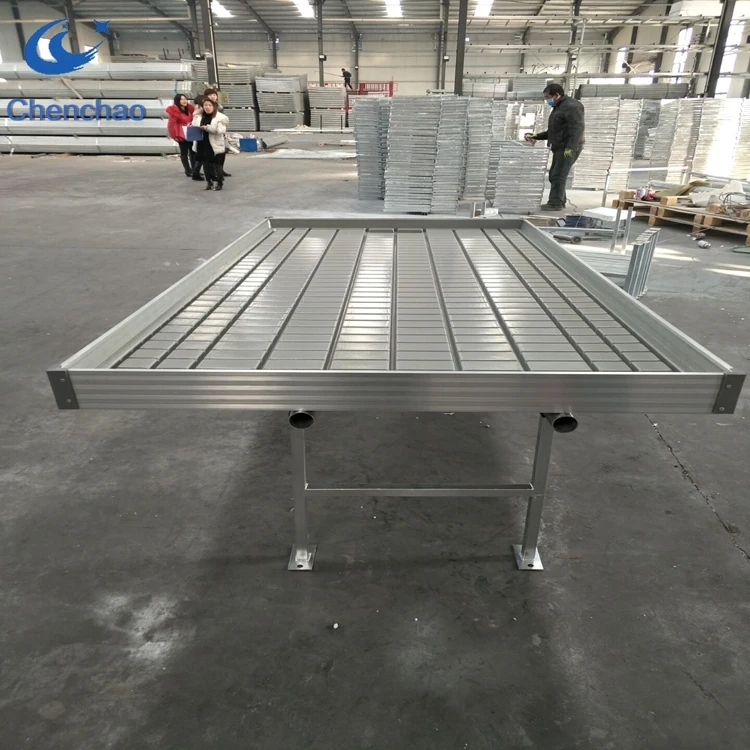 Movable Greenhouse Seeding Nursery Bed Growing Tables for Commercial plants Seedbed System