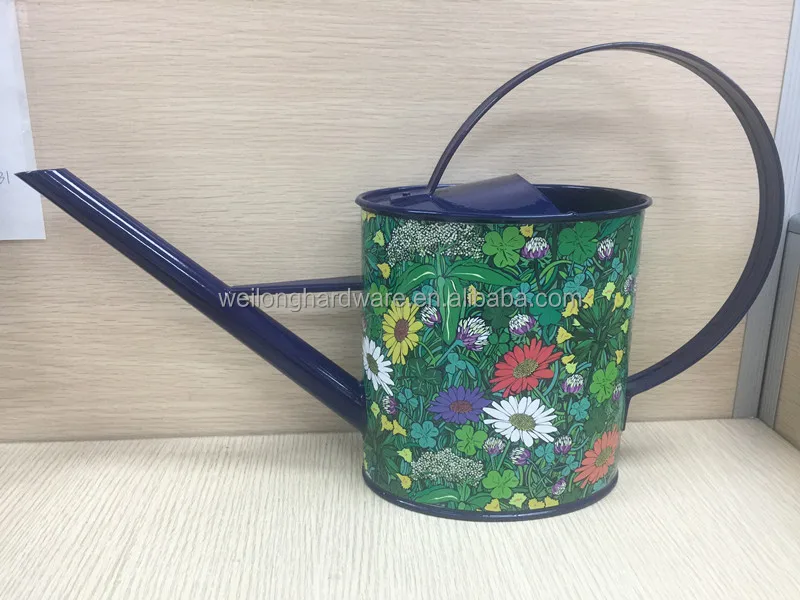 Garden Colour Galvanised Metal Steel Watering Can 9 Litre with Brass Rose