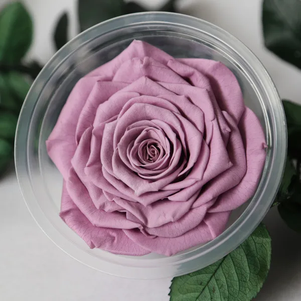 Natural Forever Rose Egypt For Any Occasion From Flower Farm