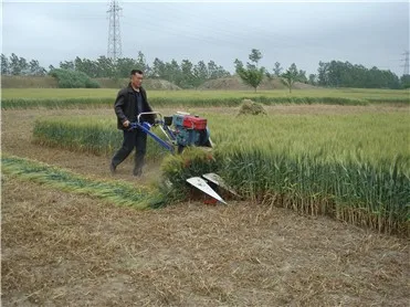 Miwell 1200mm Cutting Width Harvester Wheat Paddy Rice Cutting Machine Mini Reaper