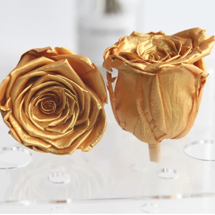 
Latest real natural Metal Metallic preserved rose heads Golden long lasting preserved roses for decorative metal roses 