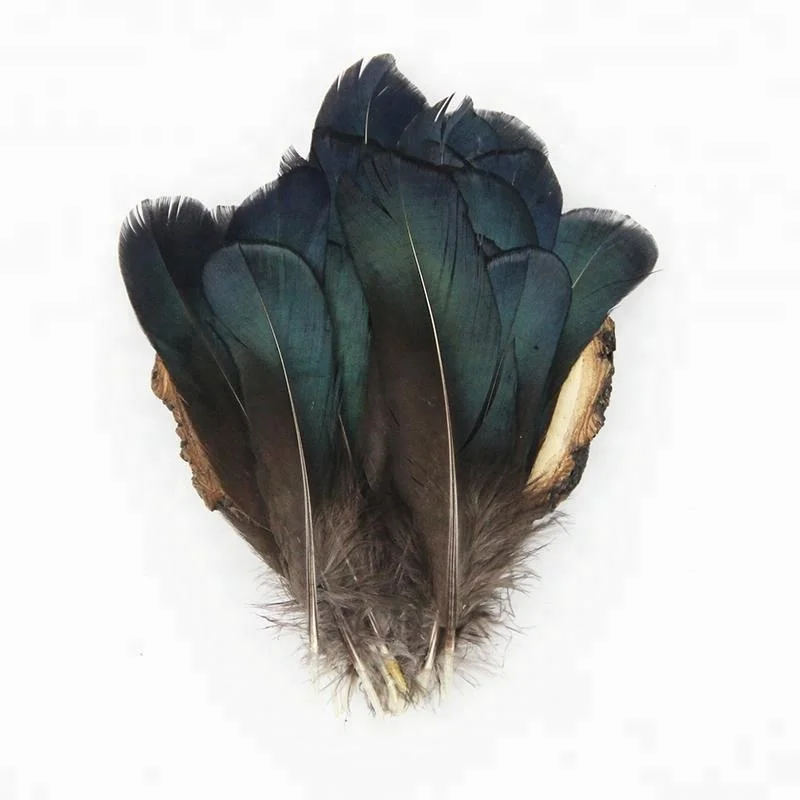 4-6 дюймов (10-15 см), оптовая продажа, высокое качество, натуральное, маленького размера, синее дамское перо фазана