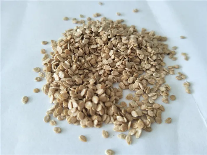 
Suntoday Indeterminate TY high yield turkey heirloom tomato seeds pink 10gr/bag 