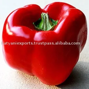 Excellent Quality & Reasonable Price for Natural OLEORESIN PAPRIKA oil