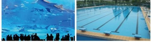 
Spray Swimming Pool Polyurea Waterproofing Coatings Made in China 