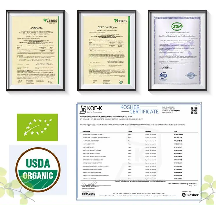 Горячие Продажи Coriolus Лишай Extract Powder