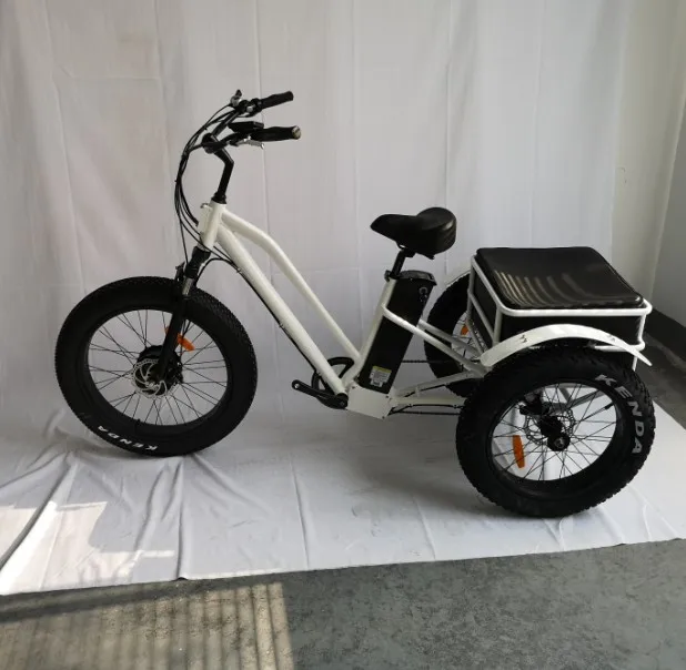 adult electric cargo tricycle/three wheel bicycle for adult(RSD-706)