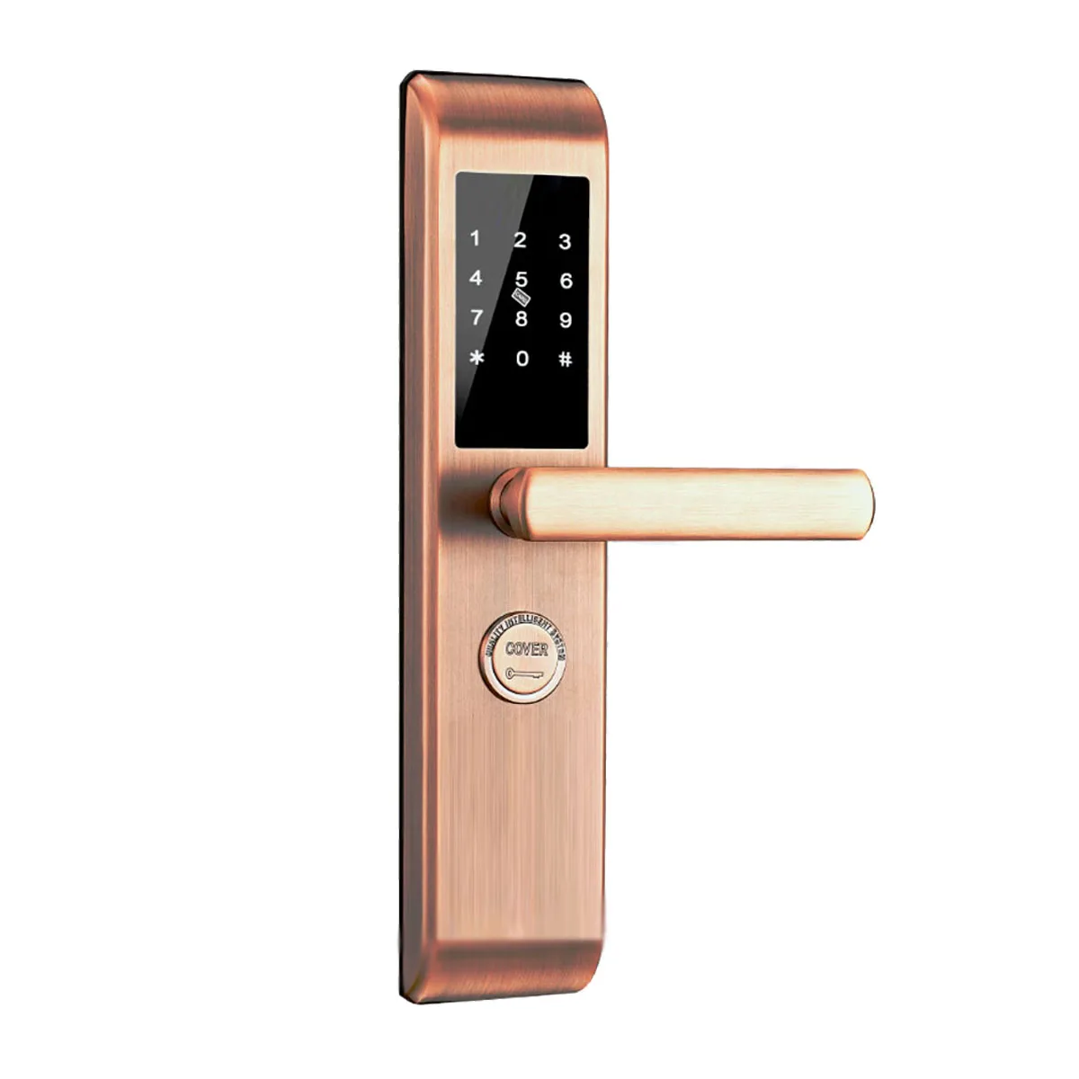 Высокое качество водонепроницаемый безопасности раздвижные умная стеклянная дверь замок для дома школы отель