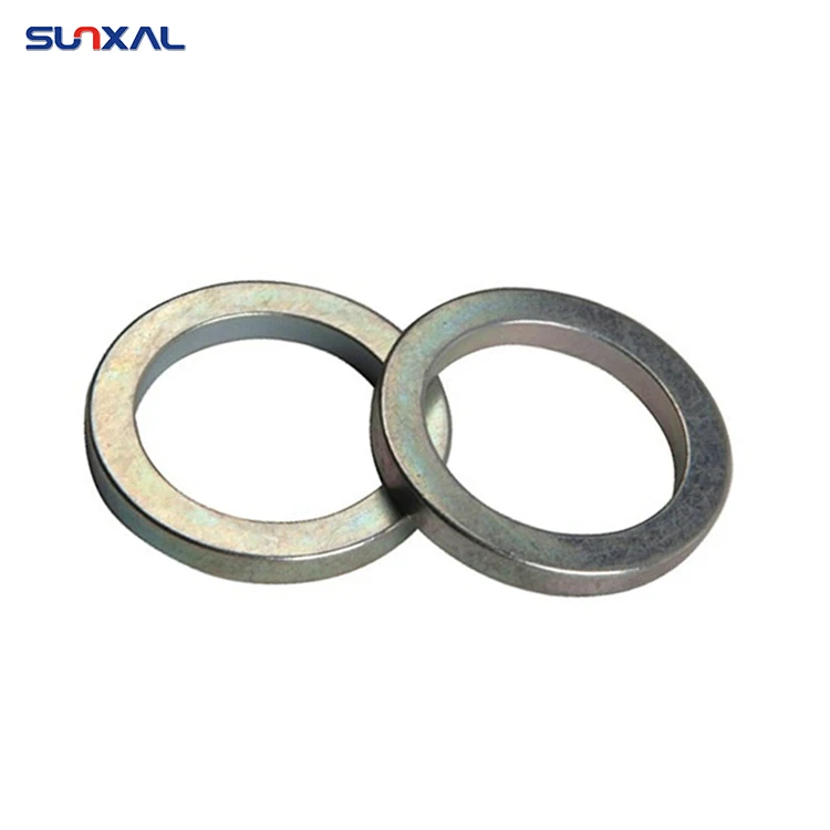 Rare Earth Material Countersunk Cheap Big Ferrite Sinter Neodymium Multipole Radial Magnetization Ring Magnet