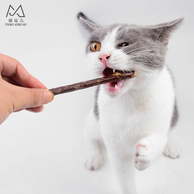 Cat Cleaning Teeth Natural Catnip Pet Cat Molar Toothpaste Stick Matatabi Actinidia Fruit Silvervine Cat Snacks Sticks