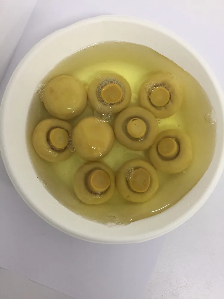
Cheap Canned mushrooms mix 
