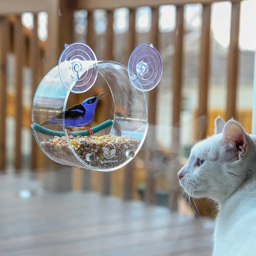 Fashion Acrylic Watch Wild Birds Up Close Round Window Bird Feeder for Bird Lovers & Fun Summer Activity for Kids As Great Gift