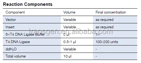 T4 DNA Ligase