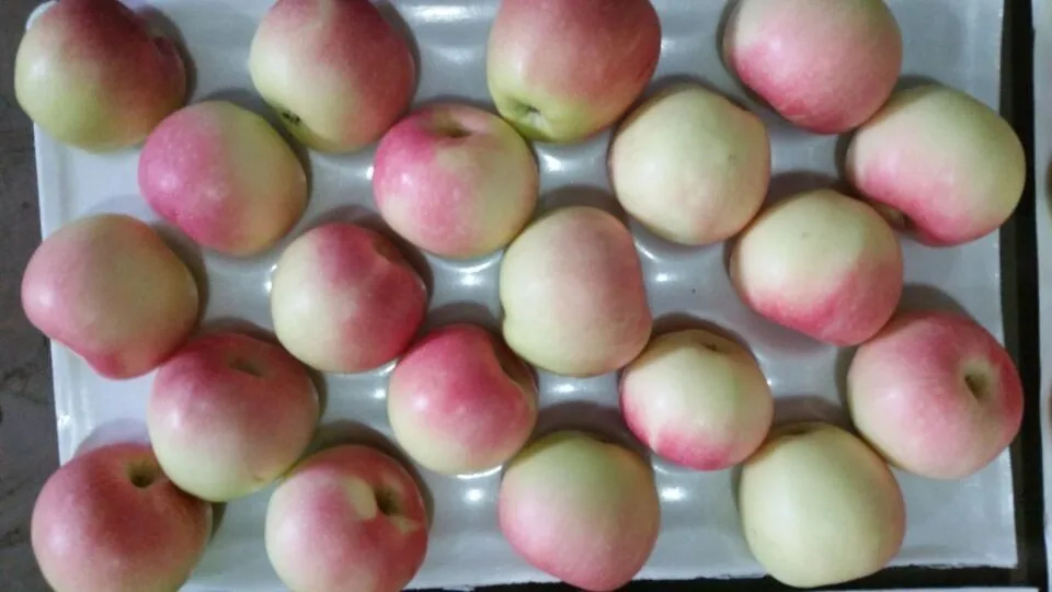 Chinese fresh fruits red delicious fuji apples