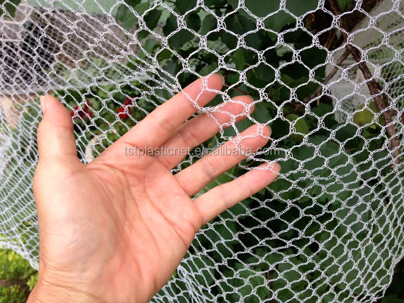 Cheap Price Agriculture Anti Bird Net and Bird Protection Net for Vineyard 100% New HDPE Wrap Knitted,extruded 7-10g/m2 Diamond
