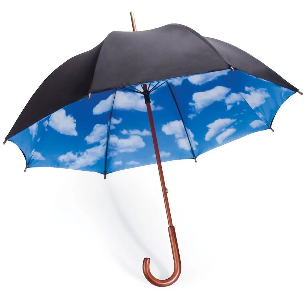 sky umbrella
