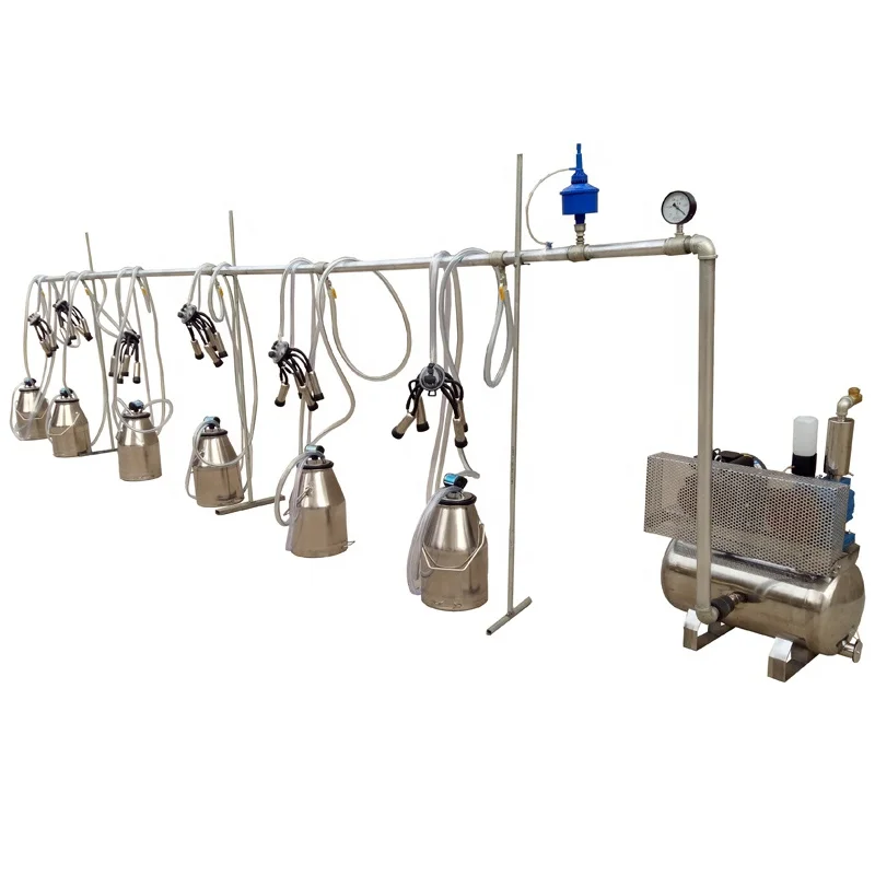 240CC milk claw L80 Pulsator 6 bucket pipeline milking machine for dairy farm
