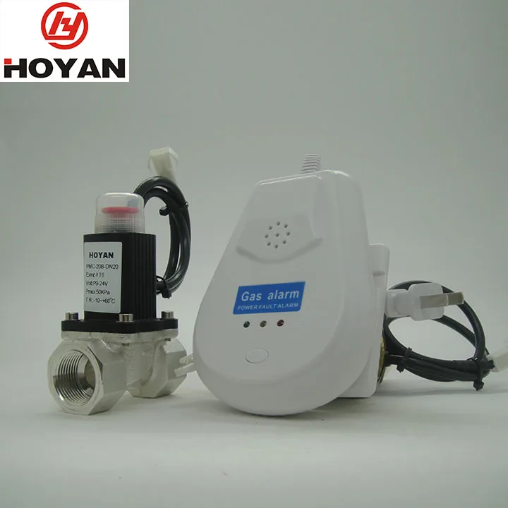 Town natural Gas Lpg Gas Solenoid Valve   with Gas Detector