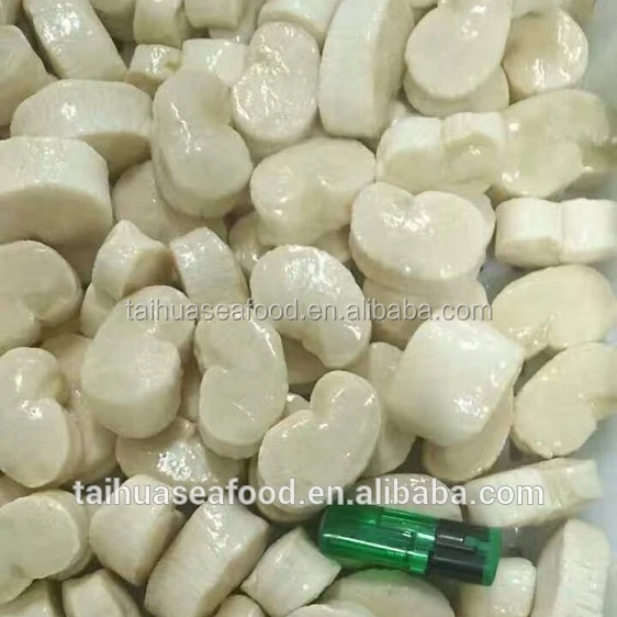 Frozen seafood sea scallop new prodcued for sale