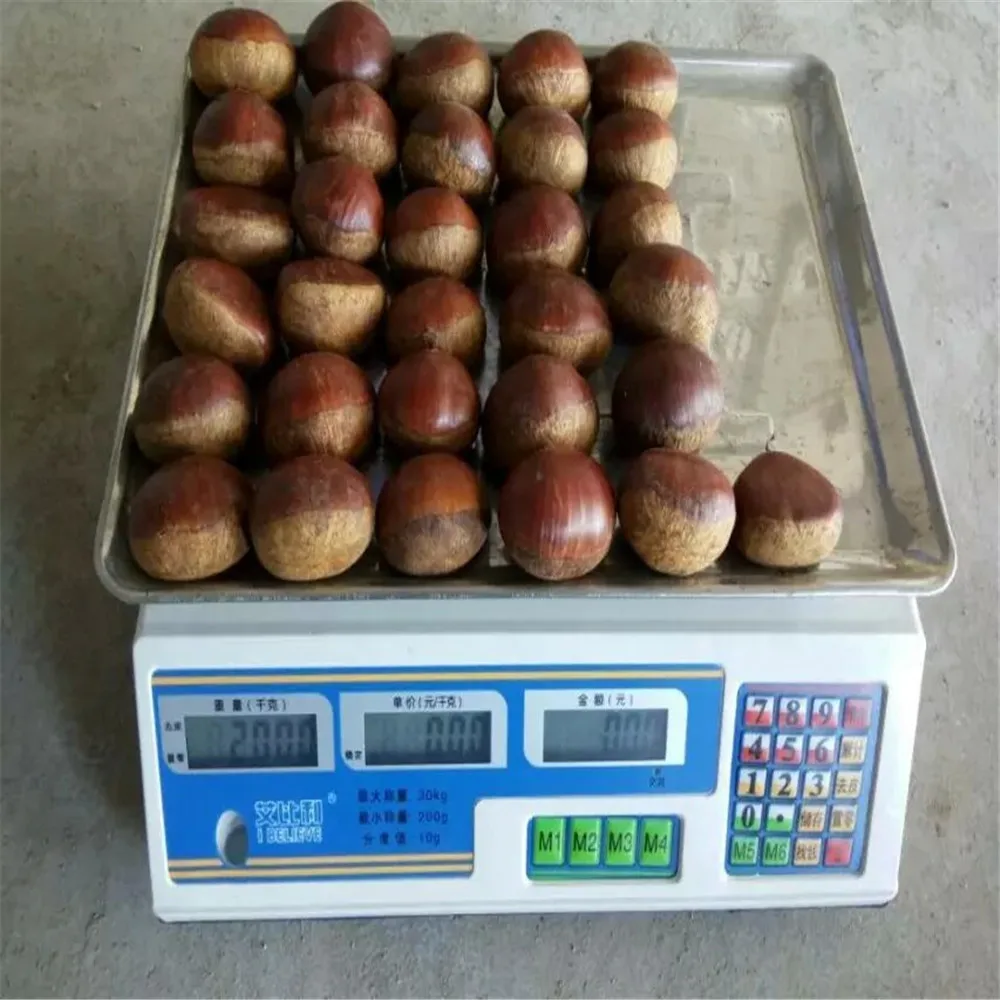  wholesale price chestnut