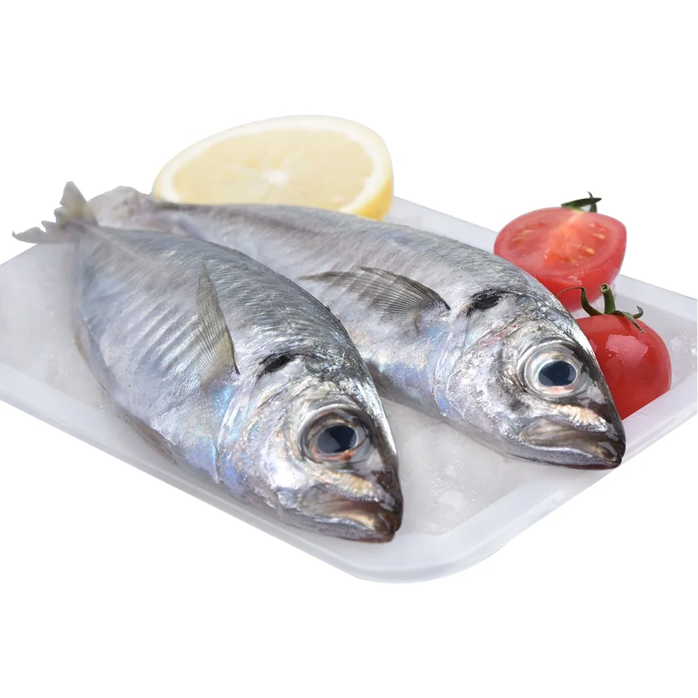 Wholesale Fish Market with Good Price Frozen Horse Mackerel