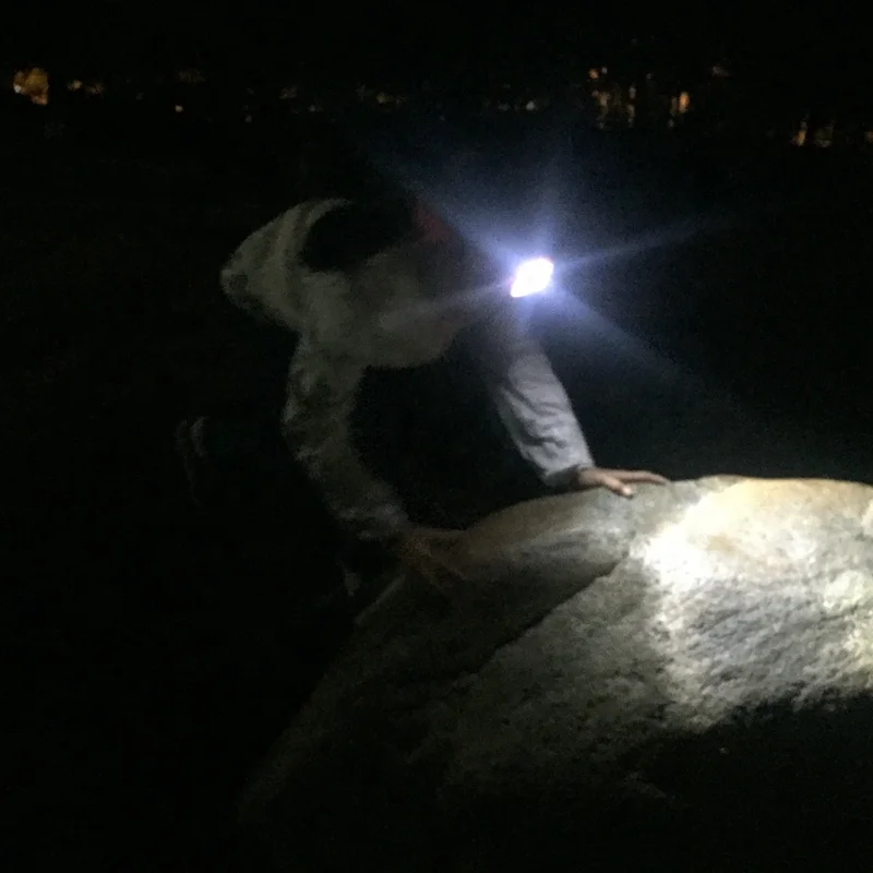 Детские светодиодные Налобные фонарики MINGRAY в форме животного для мальчиков и девочек, наружные Налобные фонари для кемпинга, детский подарок, Новинка