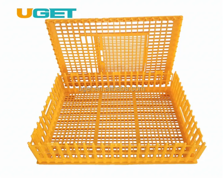 
Customized Recyclable Stackable Plastic Transport Poultry Crate for Chicken Duck Goose Dove 