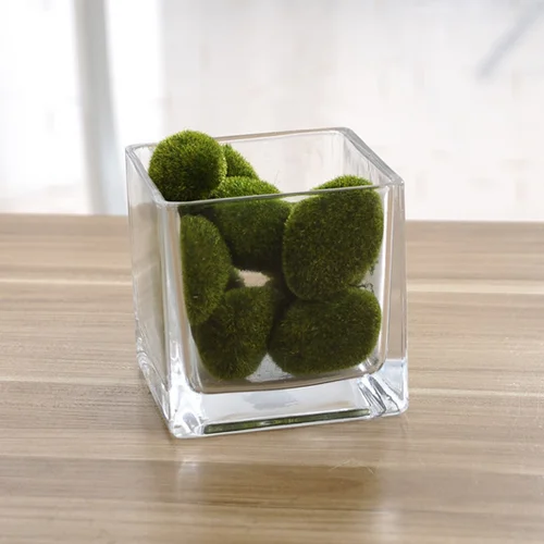 square glass pot for water plants/clear glass vase for flower arrangement/wedding favor table decoration centerpiece