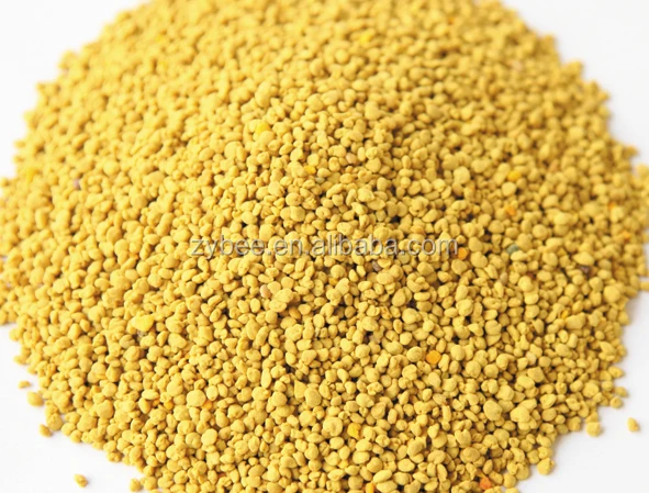 Wholesale Factory Direct Supply Animal Food Material Clean Sweet Rape Bee Pollen