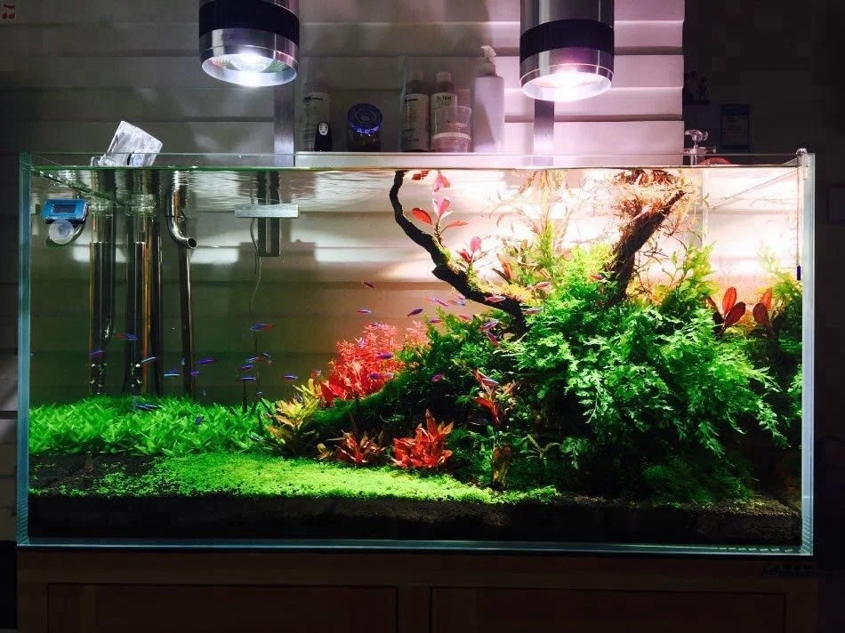 
Factory wholesale high power 50W Green water grass fish tank aquarium led lighting 