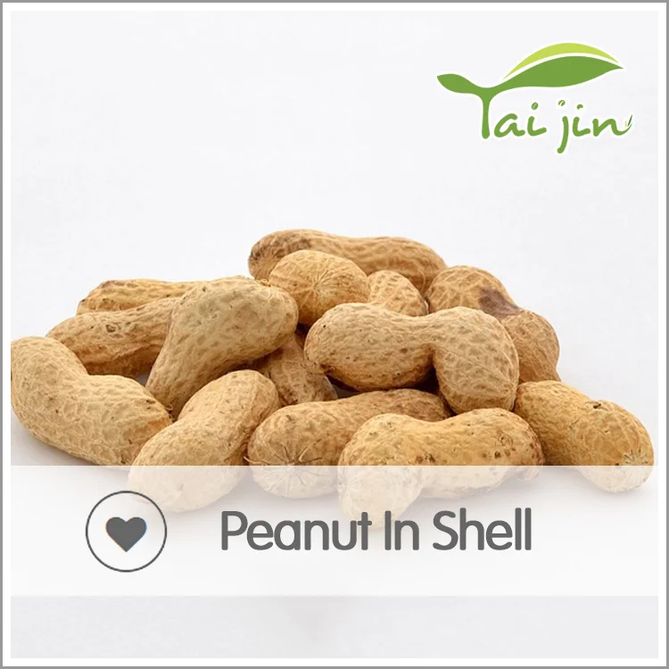 Raw import peanut in shell