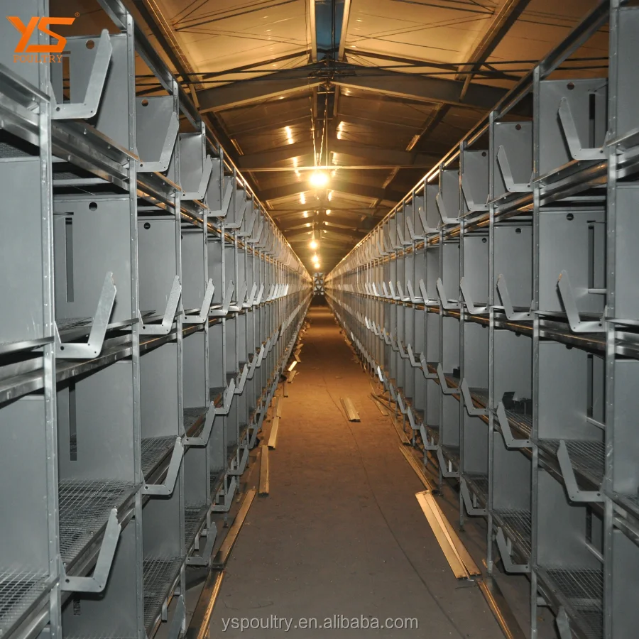 Latest Design H Frame Pullet Metal Chicken Cage