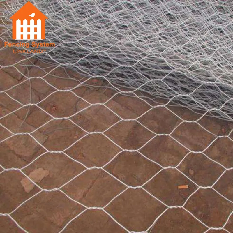 China Exporter Best Quality Hexagonal Wire Netting Chicken Nets Fishing Nets