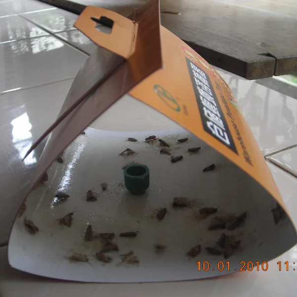 Нетоксичная приманка феромона для приманки насекомых