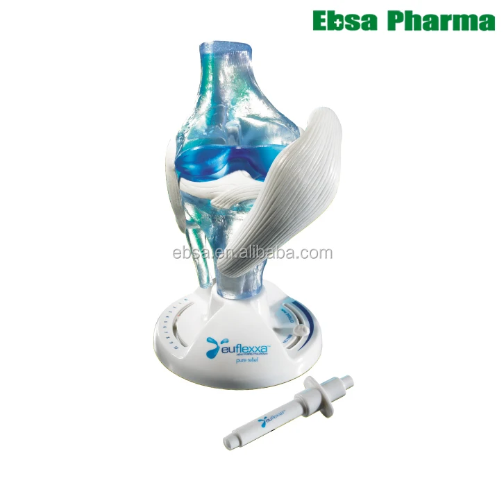 Advanced Medical Supplies Human Teaching Clear Knee Model with Pain Meter