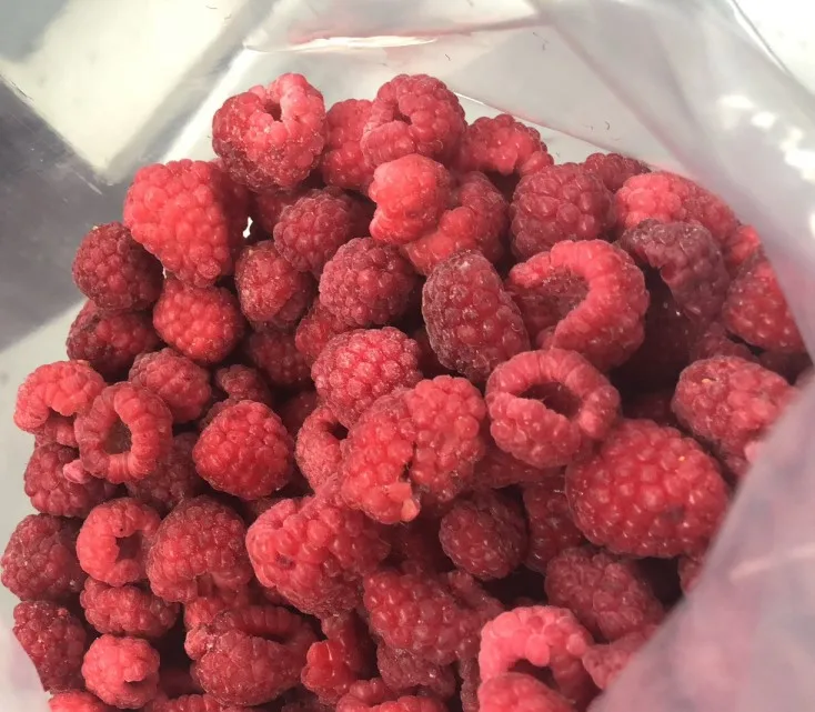 Fresh Frozen IQF Whole Raspberry for Yogurt Cake Topping Jam Smooth