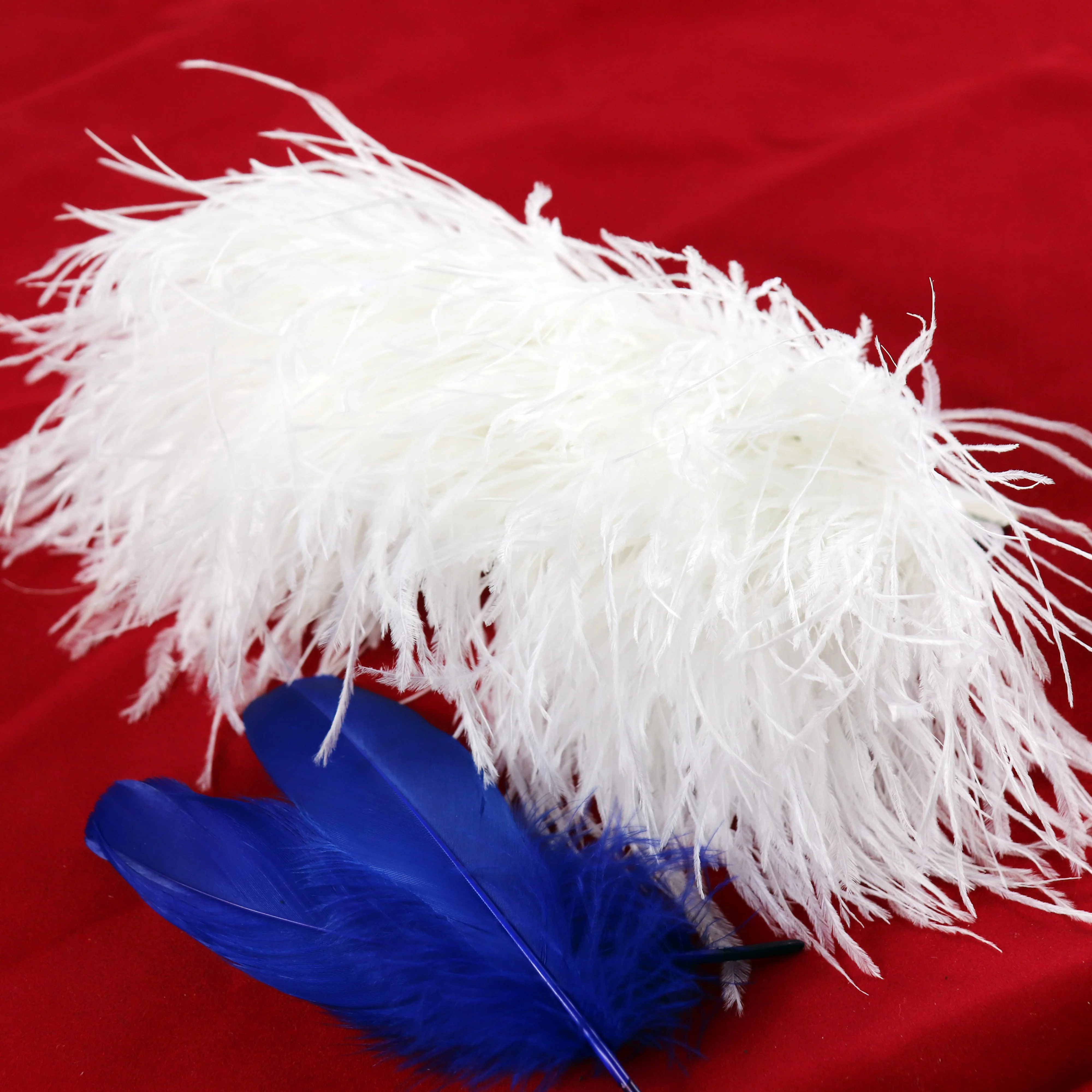 cheap China factory  high quality  catching dyed color ostrich feather trim