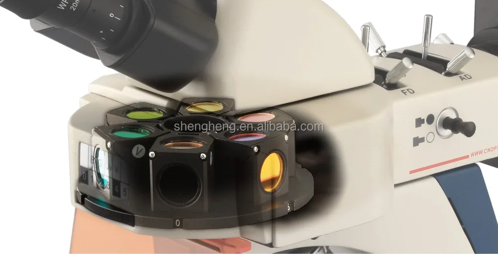 EPI Infinity mercury or LED Fluorescence Biological Microscope