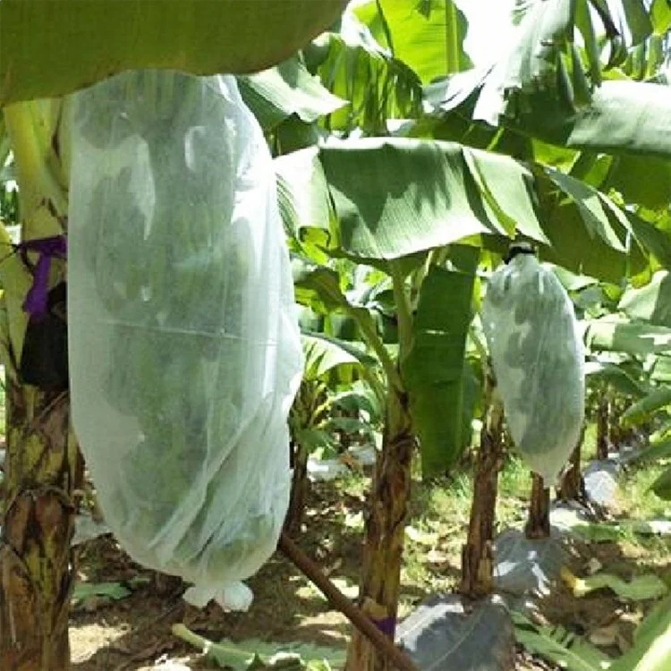 pp spunbond nonwoven banana bag fruit cover Quanzhou high quality diodegradable nonwoven fabric bag