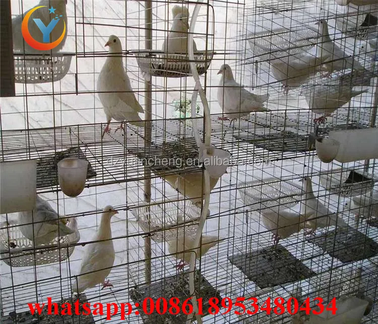 chicken cage quail cage design pigeon coops pigeon breeding cage for sale