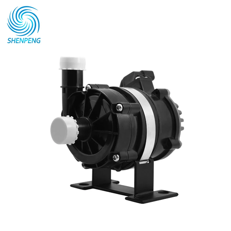 Head 9m Flow 40LPM 12v 24v Car Pump