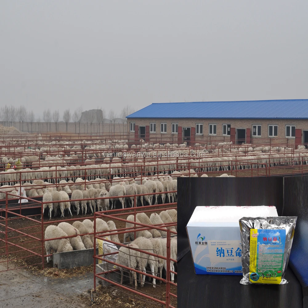 Bacillus natto (кормовой класс)