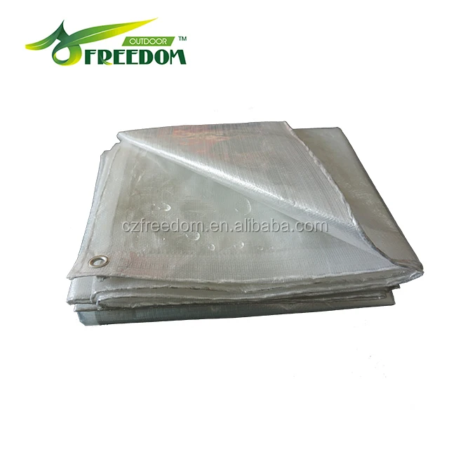 Industrial Cheap Plastic tarpaulin/Clear Tarp